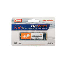 SSD M.2 — 256 Dato 2280