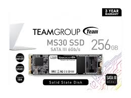 SSD M.2 — 256 Team Group
